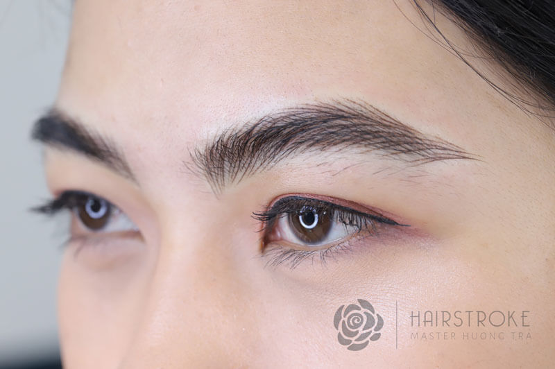 Nên chọn điêu khắc chân mày hay phun mày? 2 Hairsrtrokes 3
