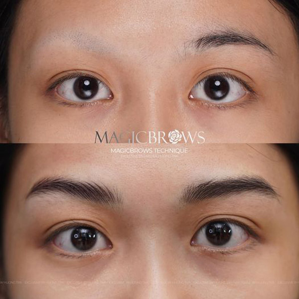 Những kiến thức cơ bản về điêu khắc lông mày trong phun xăm thẩm mỹ 2 kien thuc co ban dieu khac long may 05