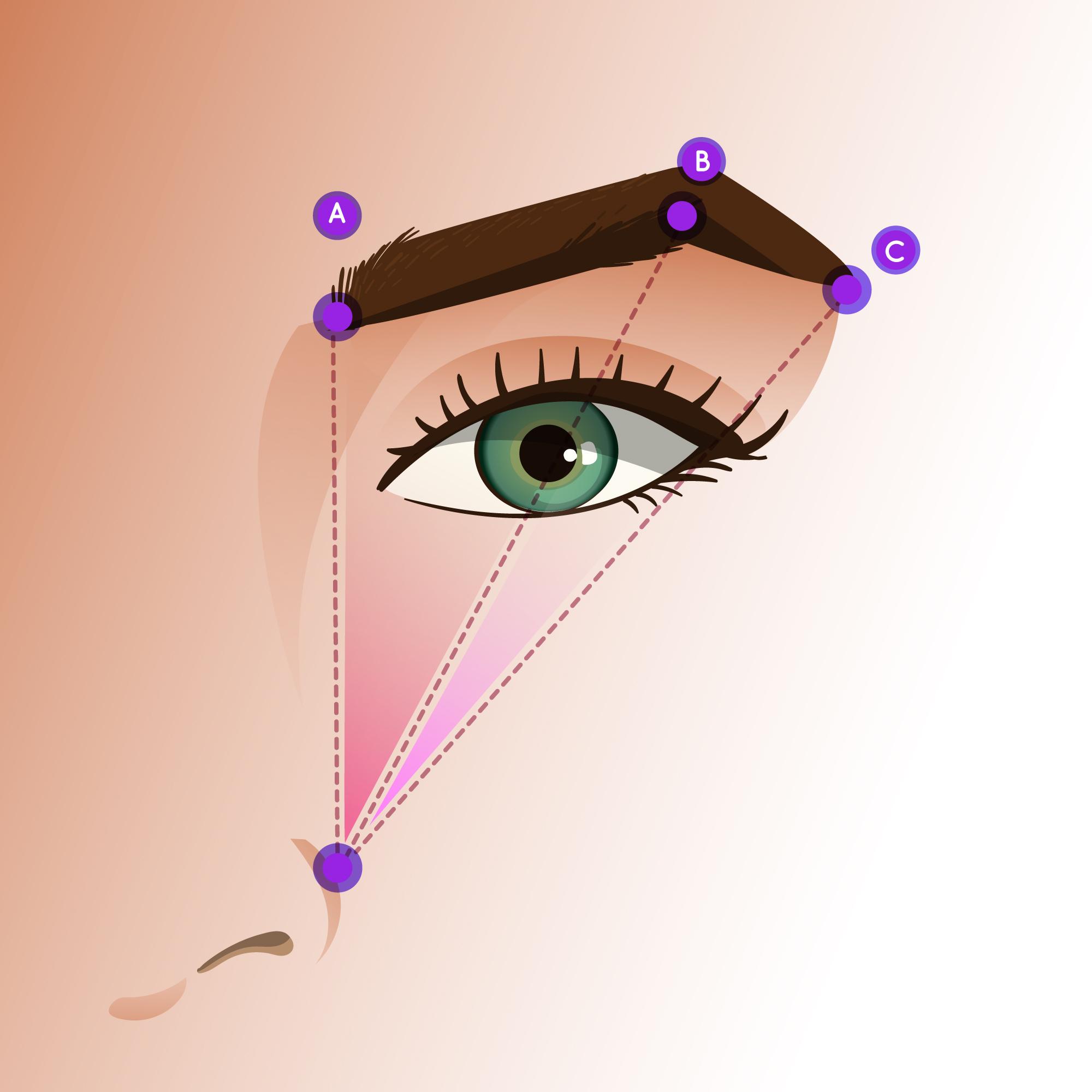 ĐIÊU KHẮC LÔNG MÀY HAIRSTROKES NGŨ QUAN THÊM SẮC SẢO 3 Như thế nào là đôi chân mày đẹp và ngũ quang thêm sắc sảo?